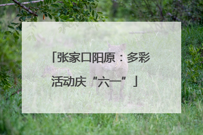 张家口阳原：多彩活动庆“六一”