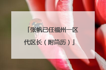 张帆已任福州一区代区长（附简历）
