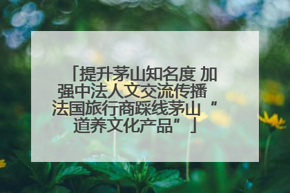 提升茅山知名度 加强中法人文交流传播 法国旅行商踩线茅山“道养文化产品”