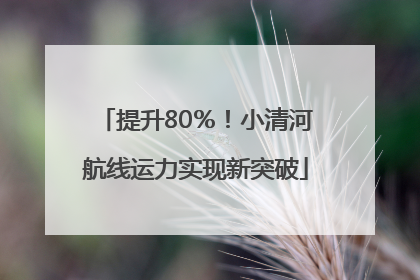 提升80％！小清河航线运力实现新突破