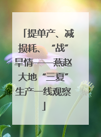 提单产、减损耗、“战”旱情——燕赵大地“三夏”生产一线观察