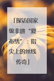 探访国家级非遗“夏布绣”：指尖上的丝线传奇