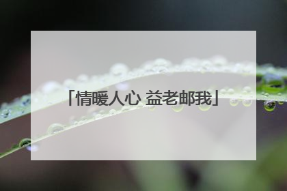 情暖人心 益老邮我