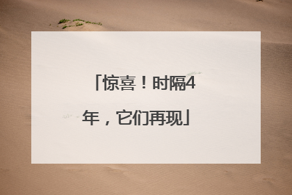 惊喜！时隔4年，它们再现