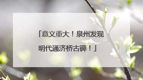 意义重大！泉州发现明代通济桥古碑！