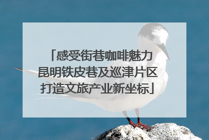 感受街巷咖啡魅力 昆明铁皮巷及巡津片区打造文旅产业新坐标