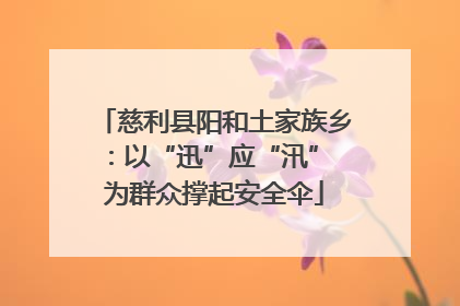慈利县阳和土家族乡：以“迅”应“汛” 为群众撑起安全伞