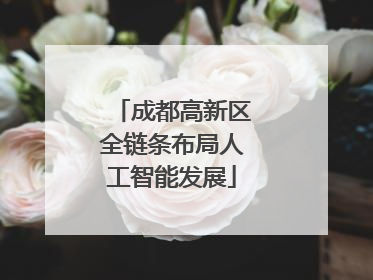 成都高新区全链条布局人工智能发展