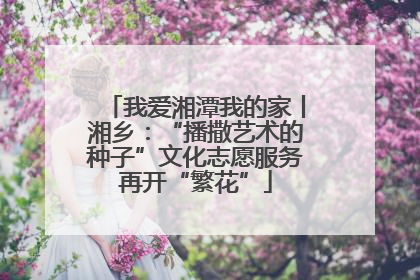 我爱湘潭我的家丨湘乡：“播撒艺术的种子”文化志愿服务再开“繁花”