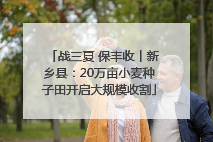 战三夏 保丰收丨新乡县：20万亩小麦种子田开启大规模收割