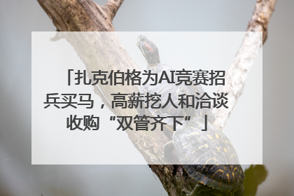 扎克伯格为AI竞赛招兵买马，高薪挖人和洽谈收购“双管齐下”