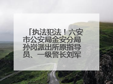 执法犯法！六安市公安局金安分局孙岗派出所原指导员、一级警长刘军被“双开”