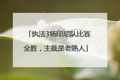执法3场印尼队比赛全胜，主裁是老熟人