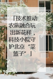 技术推动农旅融合玩出新花样，科技小院守护北京“菜篮子”