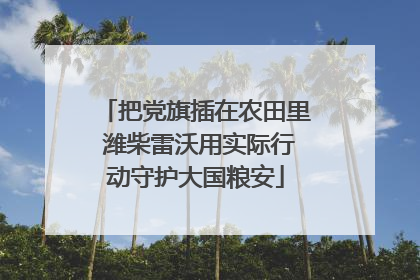 把党旗插在农田里 潍柴雷沃用实际行动守护大国粮安