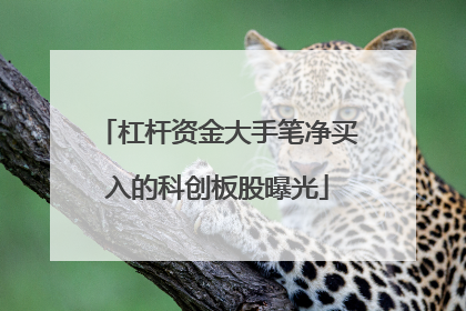 杠杆资金大手笔净买入的科创板股曝光