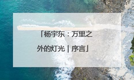 杨宇东：万里之外的灯光｜序言