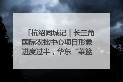 杭绍同城记｜长三角国际农批中心项目形象进度过半，华东“菜篮子”建设加码提速！
