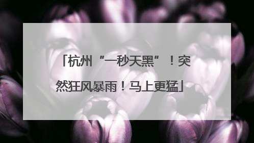 杭州“一秒天黑”！突然狂风暴雨！马上更猛