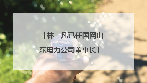 林一凡已任国网山东电力公司董事长