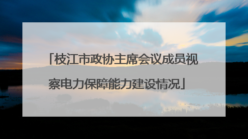 枝江市政协主席会议成员视察电力保障能力建设情况