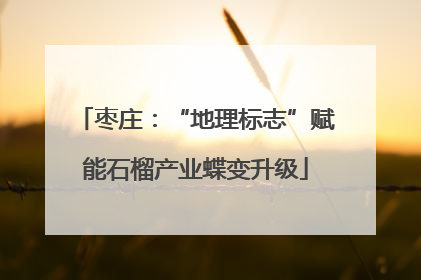 枣庄：“地理标志”赋能石榴产业蝶变升级