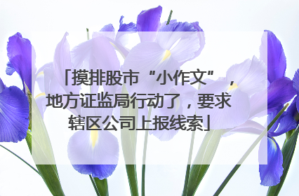 摸排股市“小作文”，地方证监局行动了，要求辖区公司上报线索