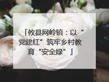 攸县网岭镇：以“党建红”筑牢乡村教育“安全绿”