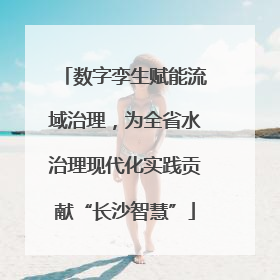 数字孪生赋能流域治理，为全省水治理现代化实践贡献“长沙智慧”