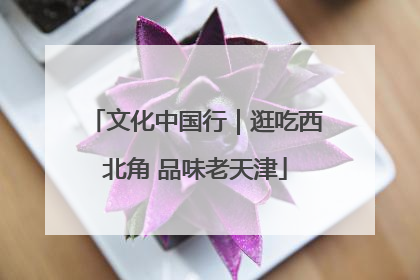文化中国行｜逛吃西北角 品味老天津