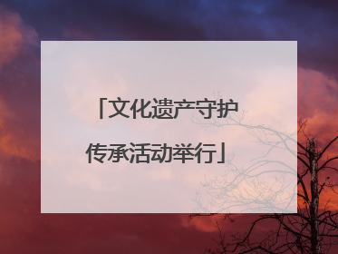 文化遗产守护传承活动举行