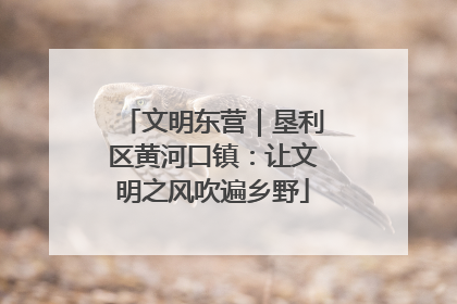 文明东营｜垦利区黄河口镇：让文明之风吹遍乡野
