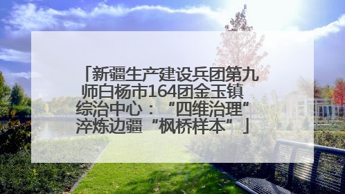 新疆生产建设兵团第九师白杨市164团金玉镇综治中心：“四维治理”淬炼边疆“枫桥样本”