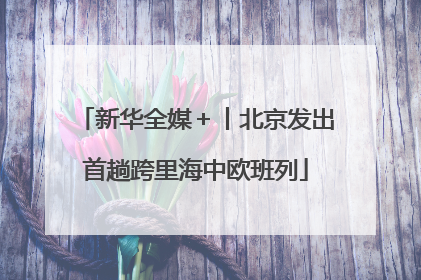 新华全媒＋丨北京发出首趟跨里海中欧班列