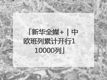 新华全媒+｜中欧班列累计开行110000列