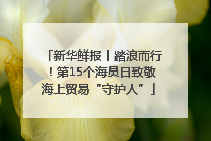 新华鲜报丨踏浪而行！第15个海员日致敬海上贸易“守护人”