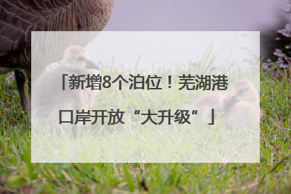 新增8个泊位！芜湖港口岸开放“大升级”