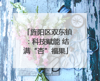 旌阳区双东镇：科技赋能 结满“杏”福果