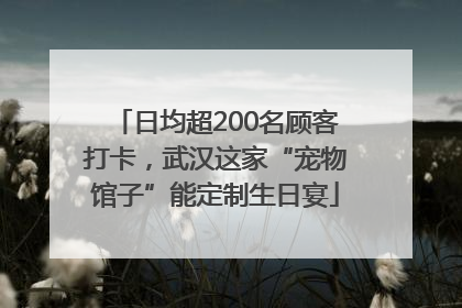 日均超200名顾客打卡，武汉这家“宠物馆子”能定制生日宴