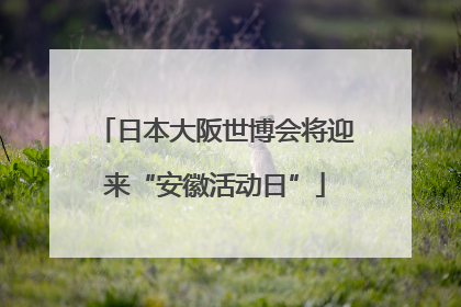 日本大阪世博会将迎来“安徽活动日”
