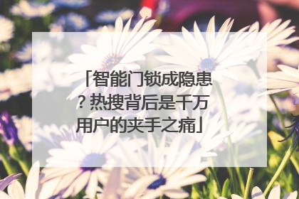 智能门锁成隐患？热搜背后是千万用户的夹手之痛