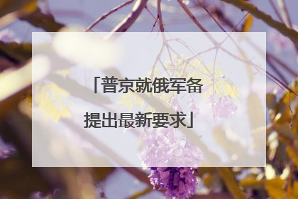 普京就俄军备提出最新要求