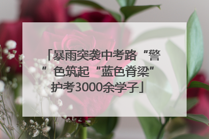 暴雨突袭中考路“警”色筑起“蓝色脊梁”护考3000余学子