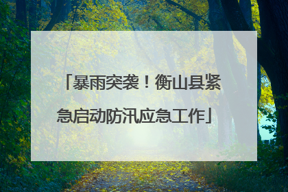 暴雨突袭！衡山县紧急启动防汛应急工作