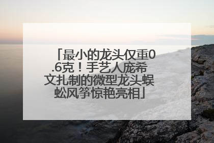 最小的龙头仅重0.6克！手艺人庞希文扎制的微型龙头蜈蚣风筝惊艳亮相