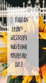 最新出炉，武汉的城市网络形象是