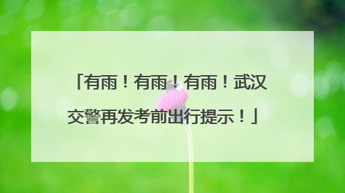有雨！有雨！有雨！武汉交警再发考前出行提示！