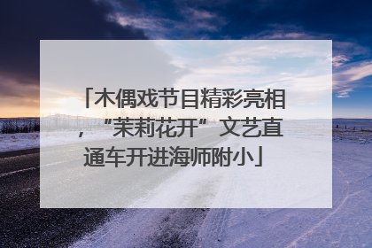 木偶戏节目精彩亮相，“茉莉花开”文艺直通车开进海师附小