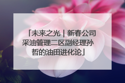 未来之光｜新春公司采油管理二区副经理孙哲的油田进化论