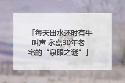 每天出水还时有牛叫声 永嘉30年老宅的“泉眼之谜”